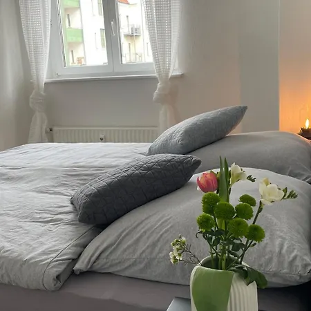 Apartment Charmante In Der Suedvorstadt *