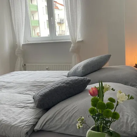 Apartment Charmante In Der Suedvorstadt